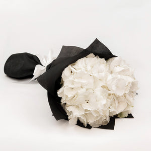 Букет от бели хортензии No. 114 - Букет от бели хортензии от свежи цветя, доставка в София