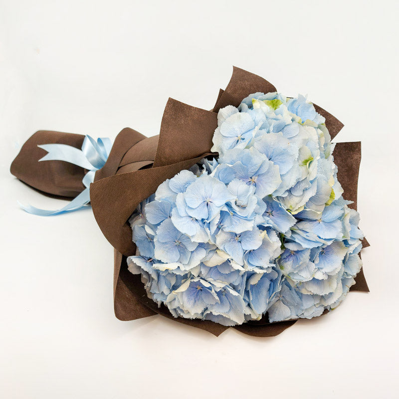 Букет от сини хортензии No. 116 - Букет от сини хортензии от свежи цветя, доставка в София