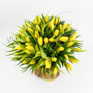 Букет от 51 жълти лалета в зебло No. 013 - Букет от 51 жълти лалета в зебло от свежи цветя, доставка в София, снимка 2