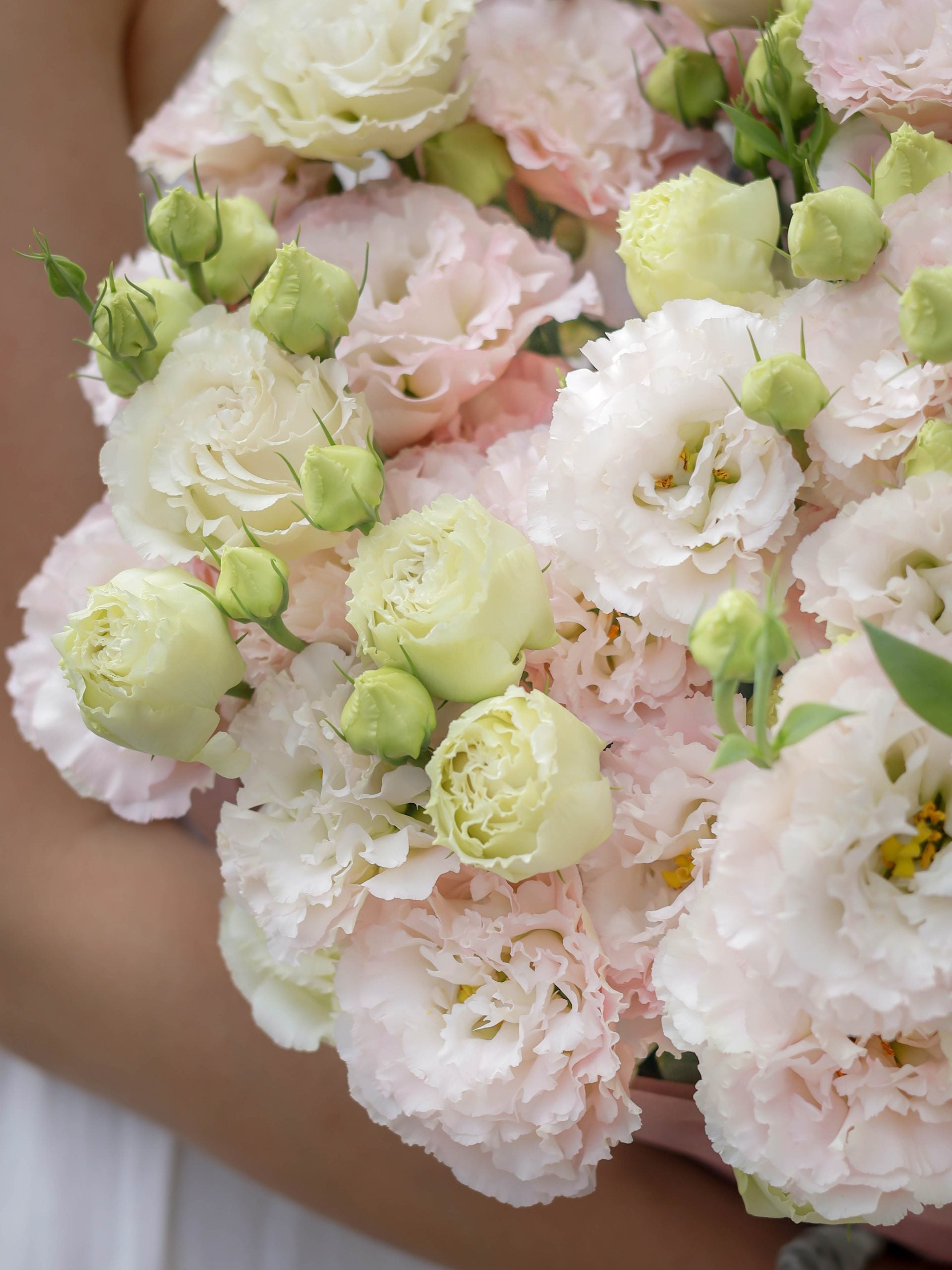 Букет от розови еустоми No. 318 - Букет от розови еустоми от свежи цветя, доставка в София, снимка 5