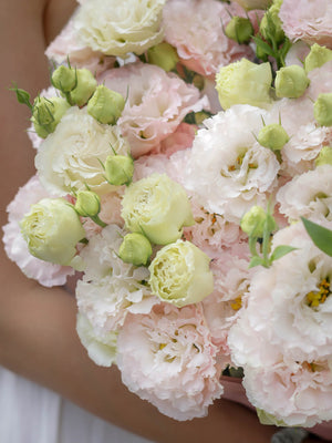 Букет от розови еустоми No. 318 - Букет от розови еустоми от свежи цветя, доставка в София, снимка 5