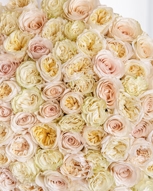 Букет от 101–201 рози Ohara Classic No. 474 от GEBOV Flowers — снимка 4