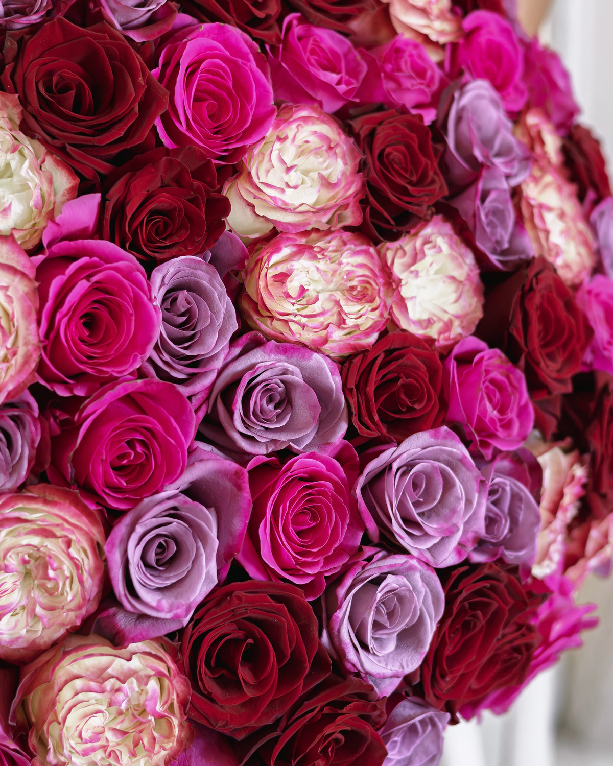 Букет от 101–201 рози Velvet Classic No. 476 от GEBOV Flowers — снимка 5