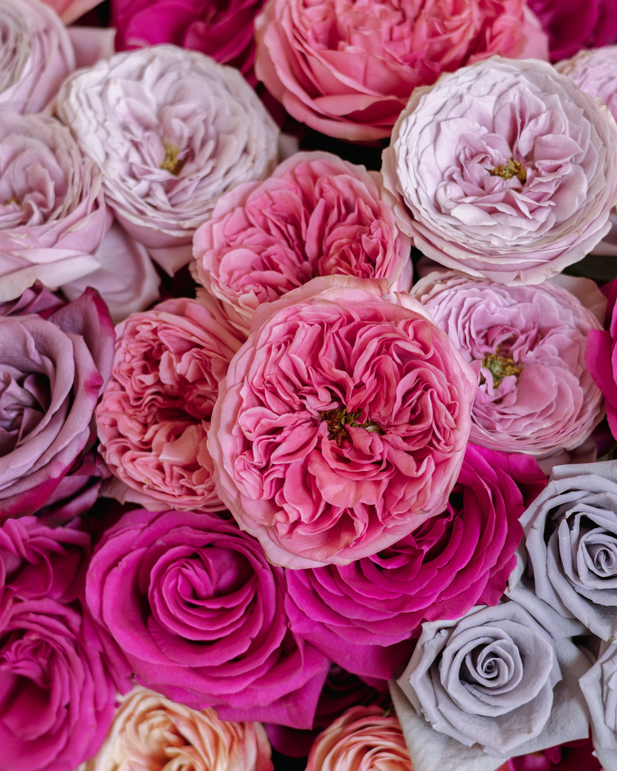 Кутия със 101–201 рози Vogue Deluxe No. 551 от GEBOV Flowers — снимка 6