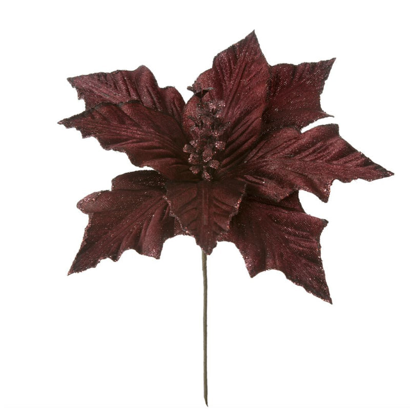 Коледна звезда бургунди